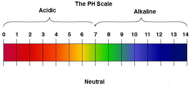 The ideal human blood pH level should be from 7-8 